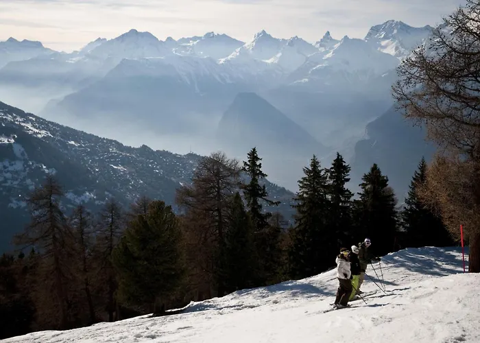 Les Mayens Mb 010 - Luxury 8 Pers 베이소나츠